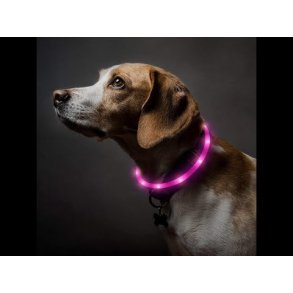 LED lys halsbånd