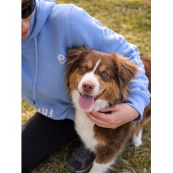 IQ Training Hoodie "Train hard" Unisex blue