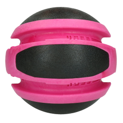 Dog Comets Planets bold