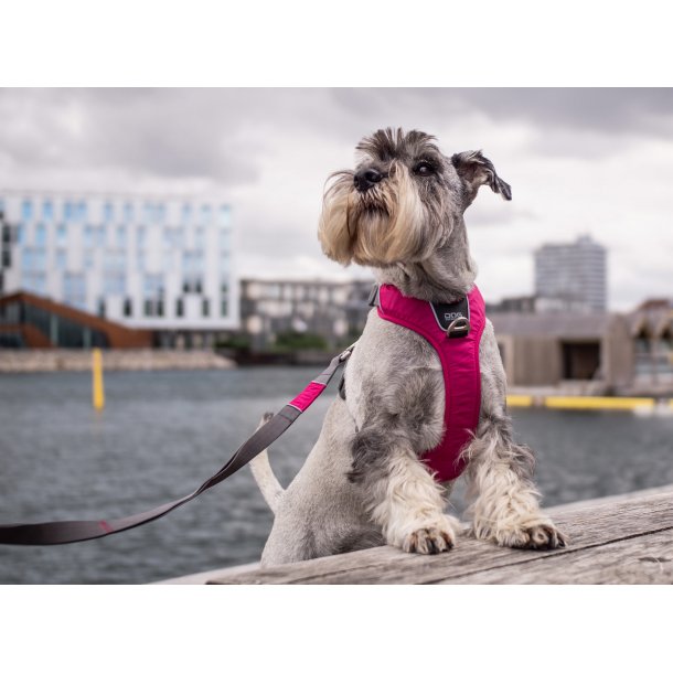 Comfort Walk Pro™ Sele - SPAR - DOG Copenhagen - Fairmoors