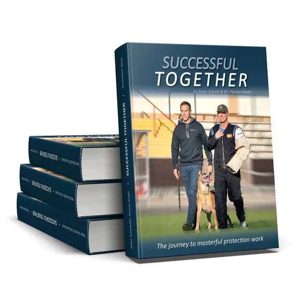 Successful Together- The Journey To Masterful Protection Work (English)