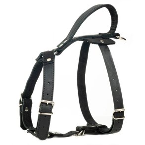 Globus Sport lder sele