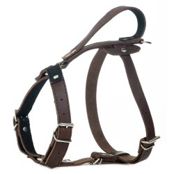 Globus Sport l�der sele