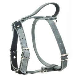 Globus Sport l�der sele