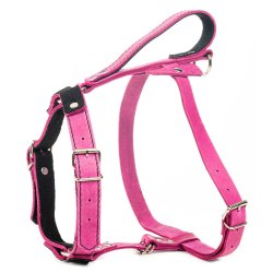 Globus Sport l�der sele