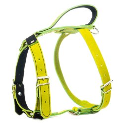 Globus Sport l�der sele