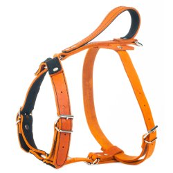 Globus Sport l�der sele