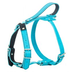 Globus Sport l�der sele