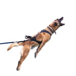 IQ Performance Pro - Cobra, Sele