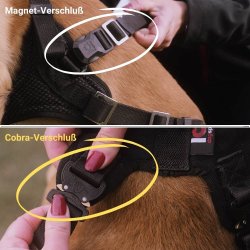 IQ Performance Pro - Cobra, Sele