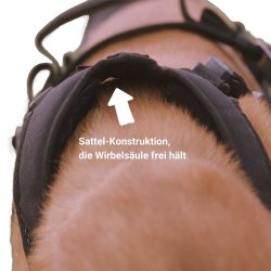 IQ Performance Pro - Cobra, Sele