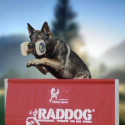 RADDOG flugtspring 1 meter