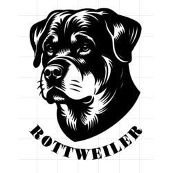 Rd sweatshirt m. tryk