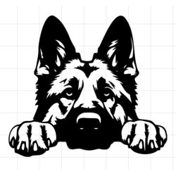 Rd sweatshirt m. tryk