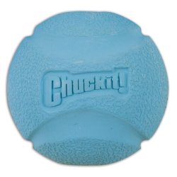 Chuckit Fetch Ball