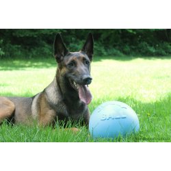 Jolly Pets Bounce N Play