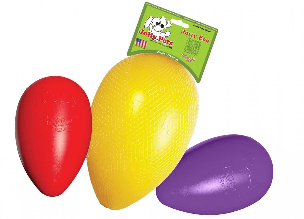 Purple Jolly Ball Egg Jolly Egg – Kiwi Canine