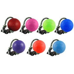 Jolly Pets Romp N Roll