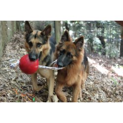 Jolly Pets Romp N Roll