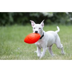 Jolly Pets Football