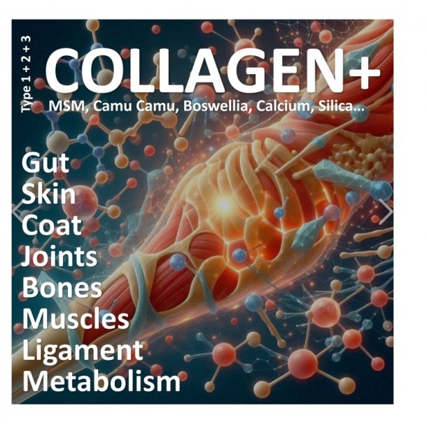 COLLAGEN+ 300g