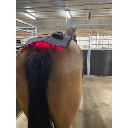 Riislund Light Therapy RED Pro