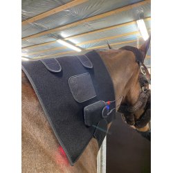 Riislund Light Therapy RED Pro